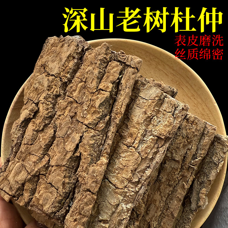 正宗杜仲中药材深山老树