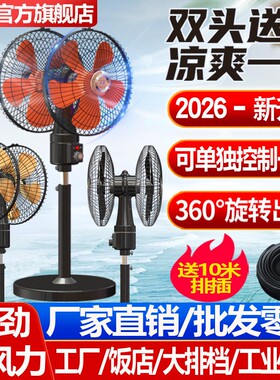 双头360度旋转摇头风扇商用工业