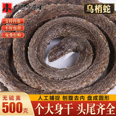 乌梢蛇中药材乌蛇干泡酒料