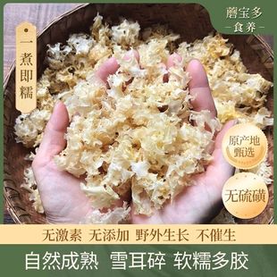 通江青杠椴木银耳正品银耳碎片无添加仿野生青杠白木耳雪耳易出胶