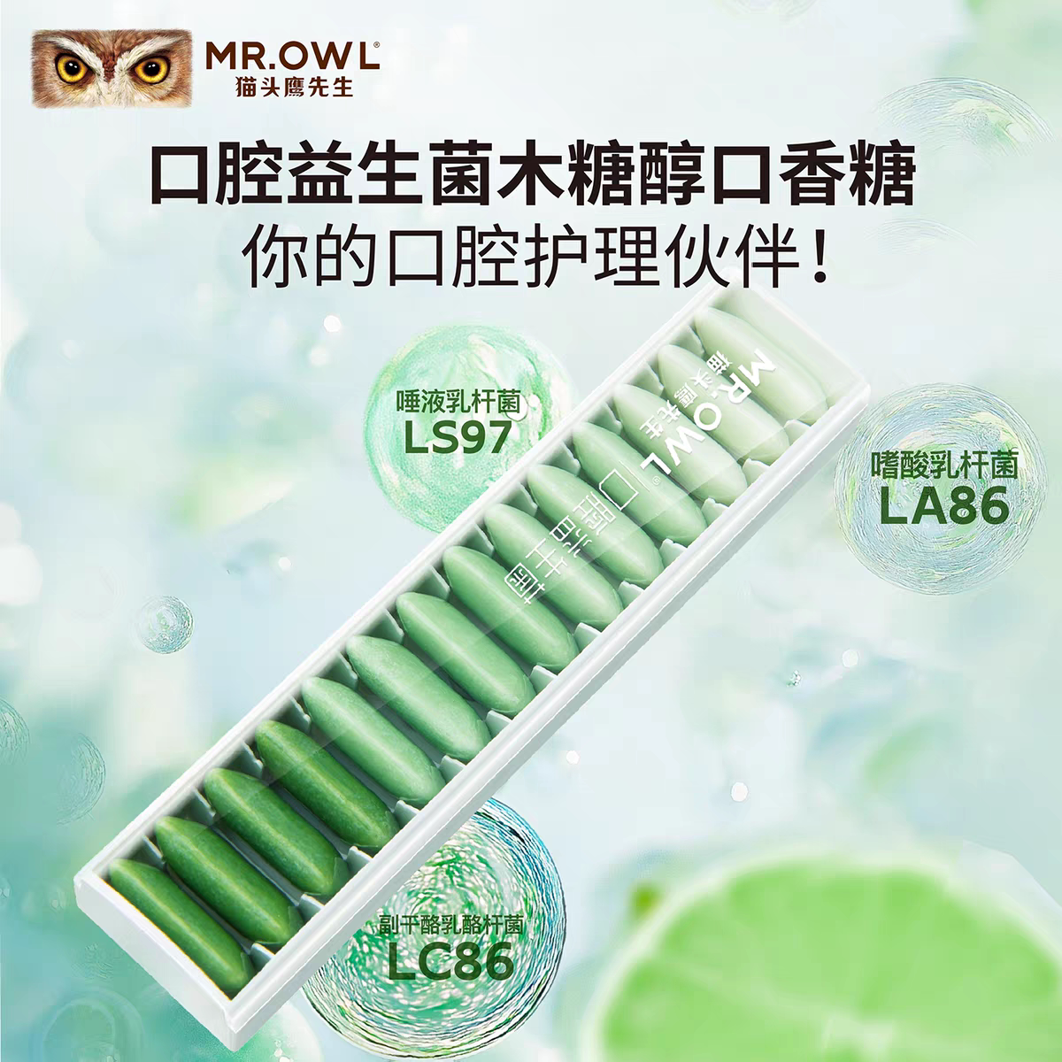 无糖口香糖木糖醇清新口气益生菌糖盒子随身低热量咀嚼猫头鹰先生
