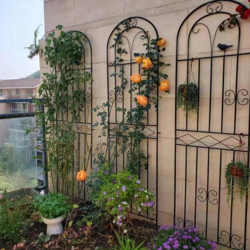 户外月季欧式铁艺月季攀爬架