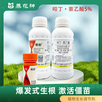 国光根盼生根壮苗剂吲哚丁酸萘乙酸花卉多肉扦插生根液生长调节剂