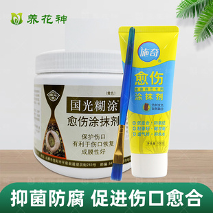植物愈合剂涂抹剂国光施奇正品愈合膏植物果树盆景月季通用涂膜剂