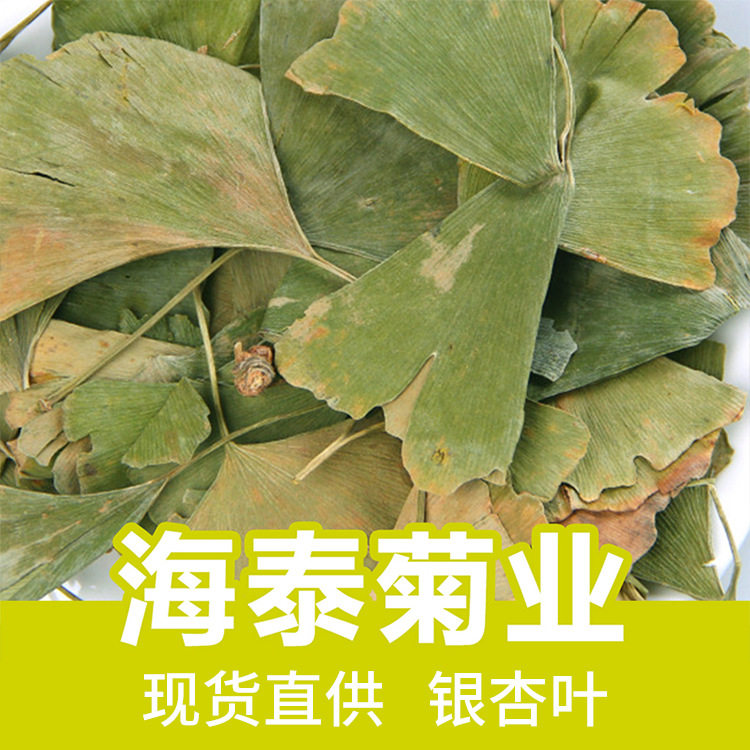 银杏叶 散装银杏叶片/银杏茶/花草茶干花饮品 厂家量大从优