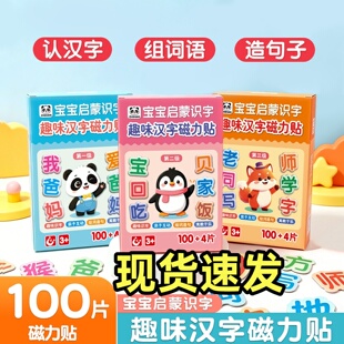 儿童汉字磁力贴高频早教幼儿园拼字识字训练益智启蒙卡片本册便签