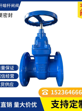 Z45T/Z41T球铁硬密封法兰闸阀不锈钢杆铜芯铜杆大体防护消防水利