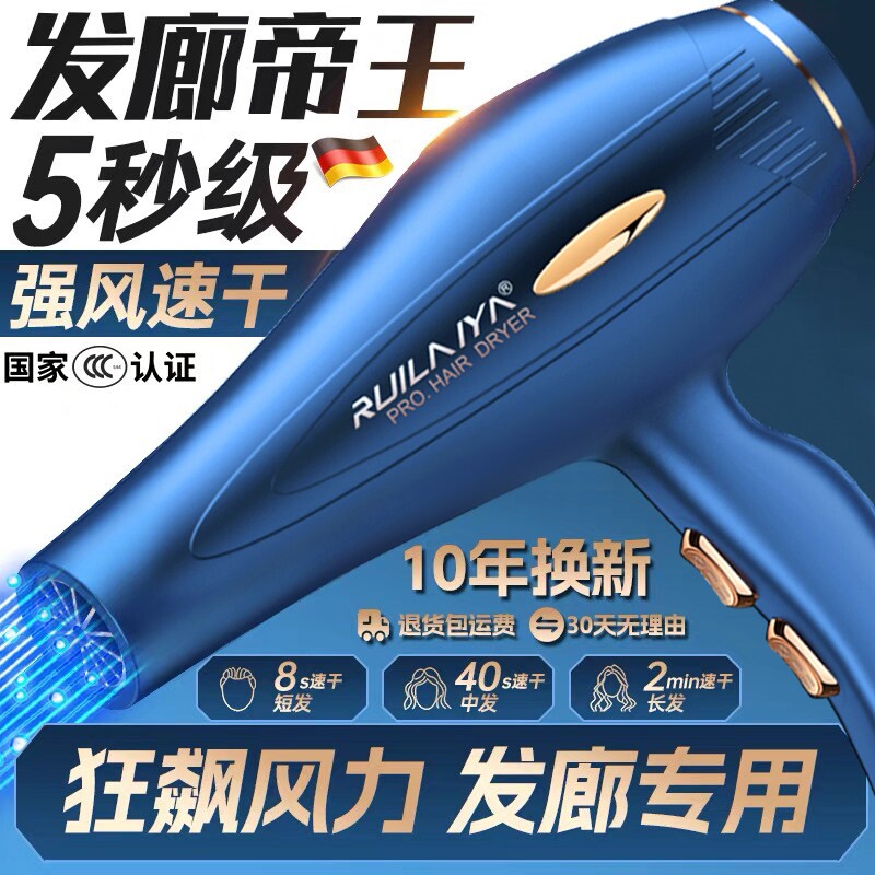 德国电吹风机理发店大功率家用大
