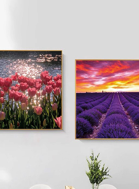 蒂彩DC钻石画郁金香花海满钻新款餐厅手工DIY粘钻十字绣现代简约