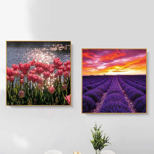 蒂彩DC钻石画植绒布钻石画可裱框