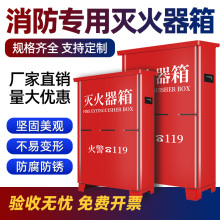 灭火器箱子2只装4公斤空箱2kg3kg5kg8kg正品不锈钢消防器材套装