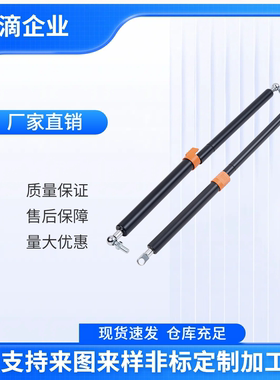 氮气气弹簧 FGSS22130 FGSS22150 FGSS22180 22200 22250