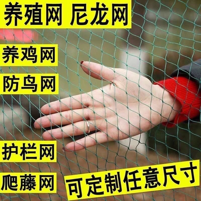 养鸡网养殖网玉米网围网鸡网大棚网防鸟网果园防护网菜园网家禽网