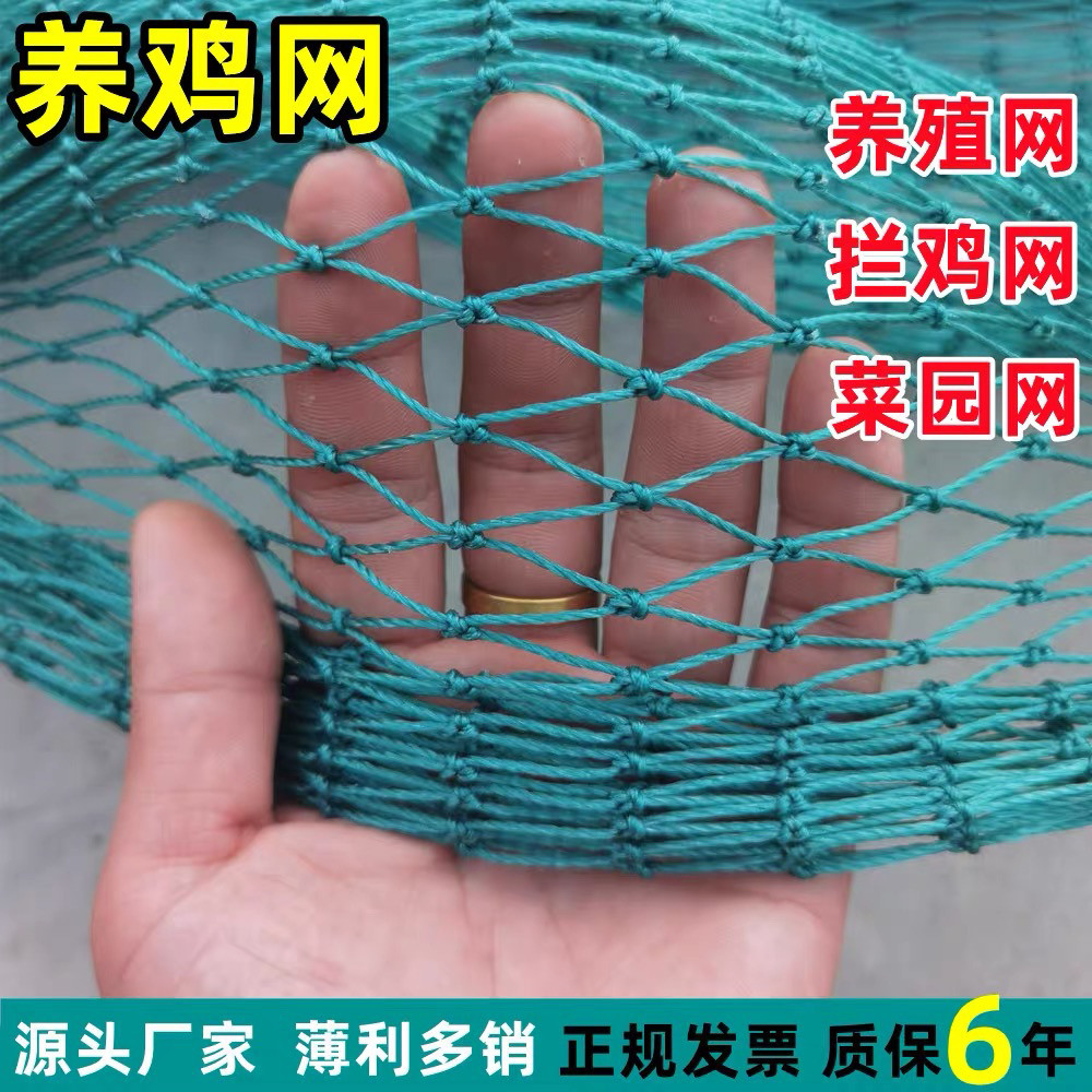 养鸡网拦鸡网天网防鸡飞网菜园网围鸡网围栏网户外鱼塘防鸟网顶网