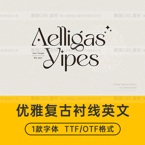 优雅轻奢女性复古品牌艺术杂志MACWIN英文字体安装包PSAI设计素材