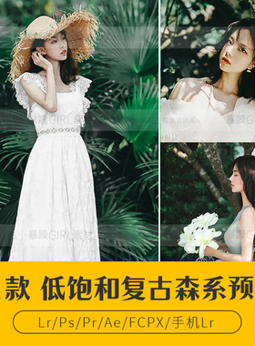 PS低饱和森系复古人像美食PR达芬奇FCPXLR调色Camera Raw滤镜LUT