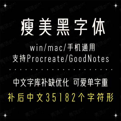 Procreate/Win/GoodNotes/Mac通用 瘦美黑优雅简繁手账字体精修版