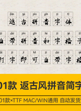 Procreate/Win/GoodNotes/Mac通用 返古复刻拼音格子设计简体字体