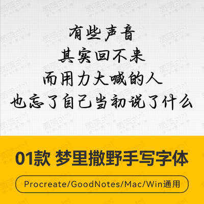 Procreate/Win/GoodNotes/Mac通用 梦里撒野手写字体