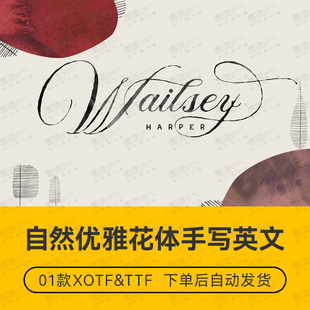 优雅浪漫情人节婚礼请柬邀请函PSai花体手写英文排版设计字体素材