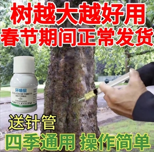 环嗪哃烂根强力除大杂灌树专用药强力除树剂腐树根树枯死酮除草剂