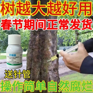 环嗪哃烂根专用药强力除树剂强力腐树根树枯死正品酮剂
