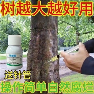 环嗪哃烂根专用药强力除树剂强力腐树根树枯死正品酮剂