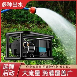 抽水泵淋菜水户外 浇菜神器浇水机家用农用浇地新型灌溉神器充电式