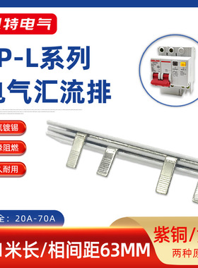 2P漏电63A汇流排20A-70A紫铜黄铜漏报连接排C45断路器接线排KT008