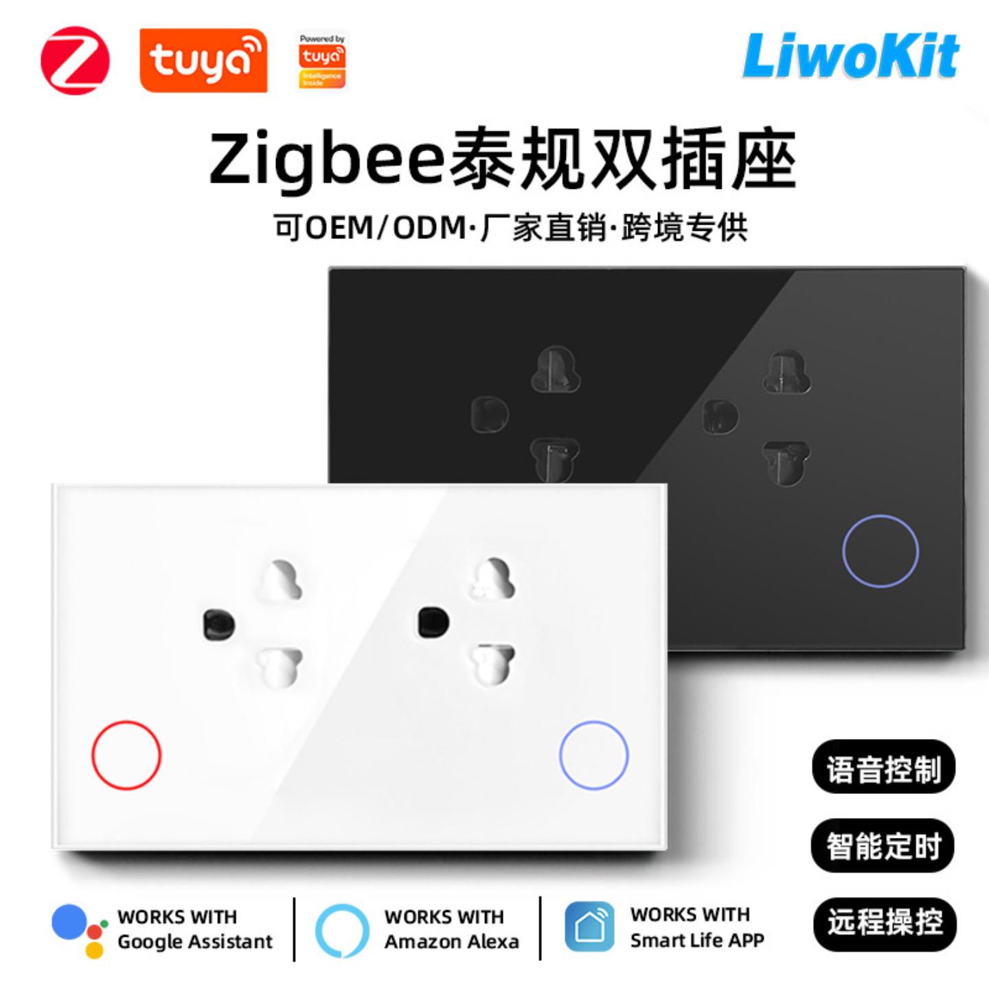 泰规越南涂鸦Zigbee插座钢化玻璃面板15A计电量功能