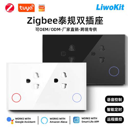 泰规越南涂鸦Zigbee插座钢化玻璃面板15A计电量功能