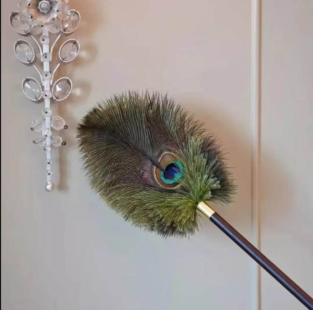 孔雀鸵鸟毛除尘掸子复古家用清洁打扫除灰加厚创意饰品,家庭/个人清洁工具,除尘掸,淘宝优惠券,粉丝福利购,淘宝优惠卷