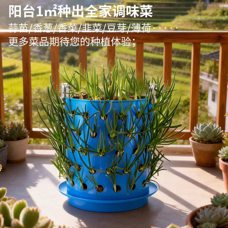 阳台蒜苗种菜神器盆栽大蒜种植盆种红葱头神器室内家庭盘栽种蒜黄