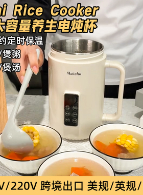 110V220伏小电炖锅mini ricecooker旅行煲汤煮粥养生壶电煮杯烧水