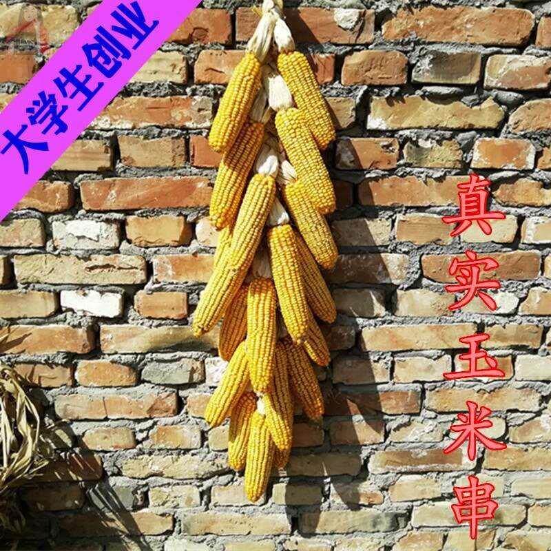 农作物装饰农家乐挂件农产品干玉米棒五谷杂粮摆件丰收节庭院挂饰