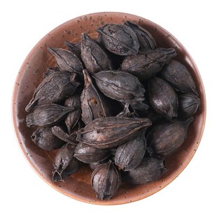 焦栀子 真选本草 炒栀子 炙栀子 黄C栀 中药材店铺炒栀子50~500g