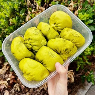 苏州蛮好阁包子铺玫瑰豆沙荠菜包薄纸皮净L素青菜包菜鲜肉馒头烧