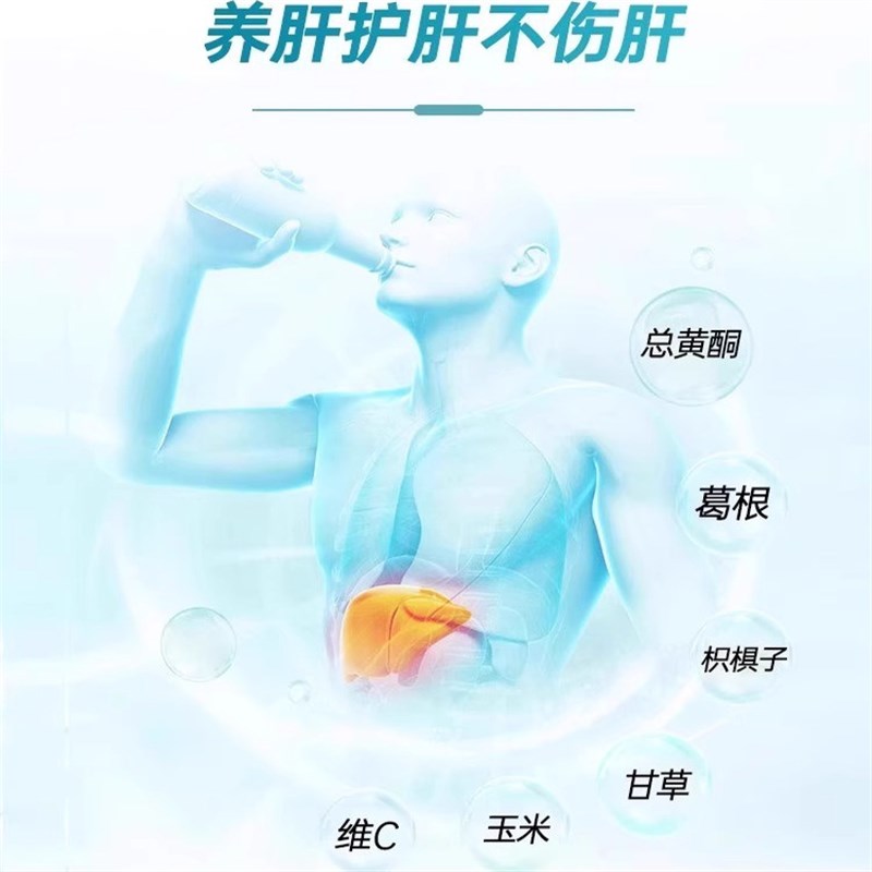 葛根枳子胶囊护r肝片男士女士护肝养肝调理S