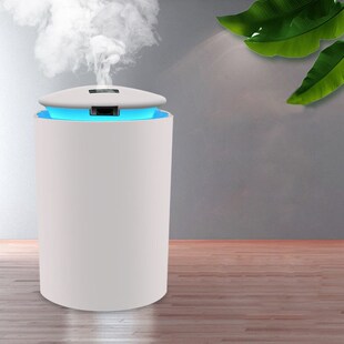Mini Air Humidifier  Home SB Bottle Aroma Diffuser LED Backl