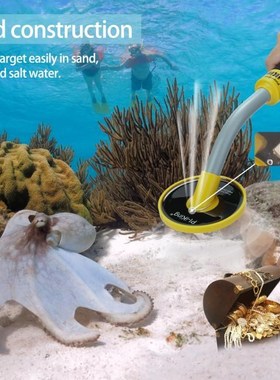 Pi-Iking 750 30m Targeting Pinpointer Induction Pulse PI Und