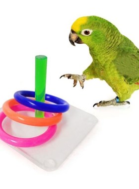 Bird Educational Puzzle Toys Acrylic Interactive Ring Toss G