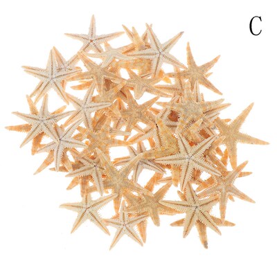 100pcs  Sea Shells Size0.5-3cm Mini Starfish Craft Decorati