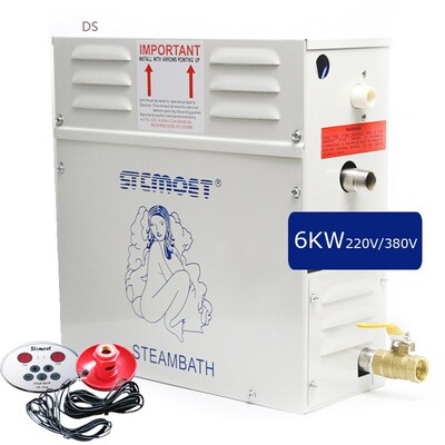 6 KW 220V/380V Sauna Machine Steam Bath Generator Weight Lo