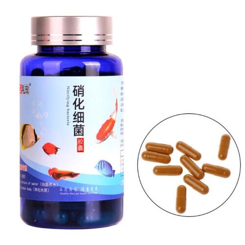 20/30/50/80/100 Pcs Aquarium Nitrifying Bacteria Concentrate