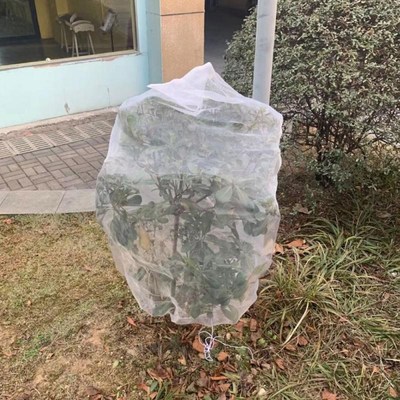 Garden Vegetable Insect Net Cover Plant Flower Care Protecti