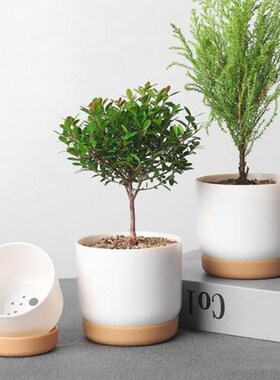 High Quality Mini Succulent Plant Pot Double-layer Succulent