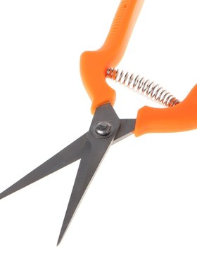 Stainless Steel Plant Pruning Shear Snips with Plastic Handl