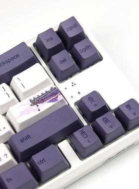 108 Keys Added Ladder Personality 6064 PBT Keycaps OEM Profi