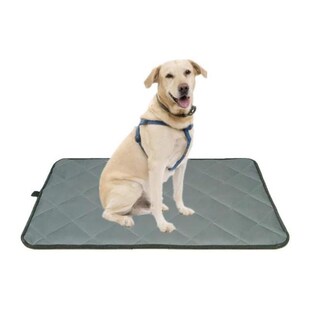 Bite Resistant Dog Mat All Season Pet Kennel Antislip Waterp