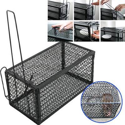 Mouse Trap Mouse Trap Home Fully Automatic And Efficient Mou